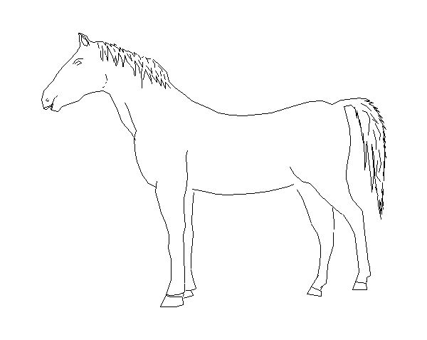 Animais – Modelo de Cavalo