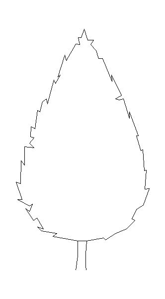 Vegetação – Modelo de Pinheiro