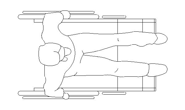 Homem em Cadeira de Roda 2D