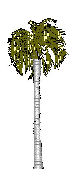 Vegetação – Modelo de Palmeira 3D