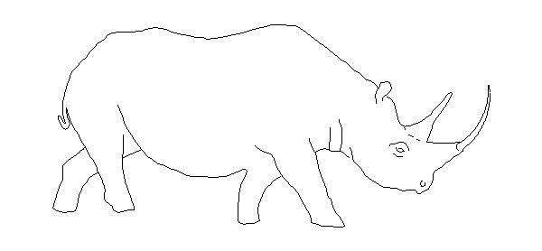 Animais – Rinoceronte Macho 2D