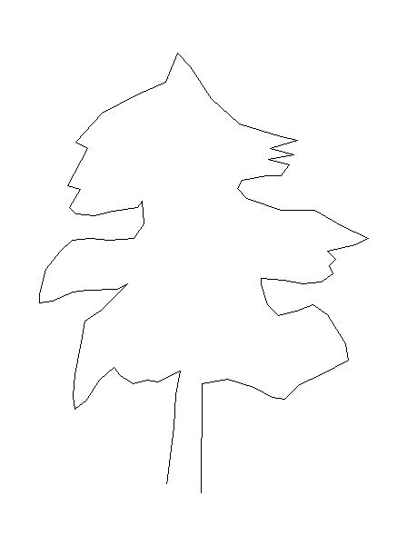Vegetação – Árvore de Natal