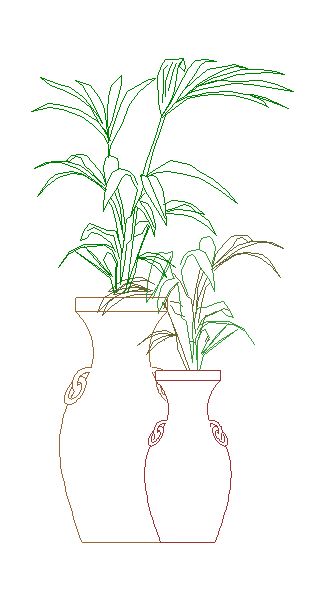 Vegetação – Plantas dentro do Vasos
